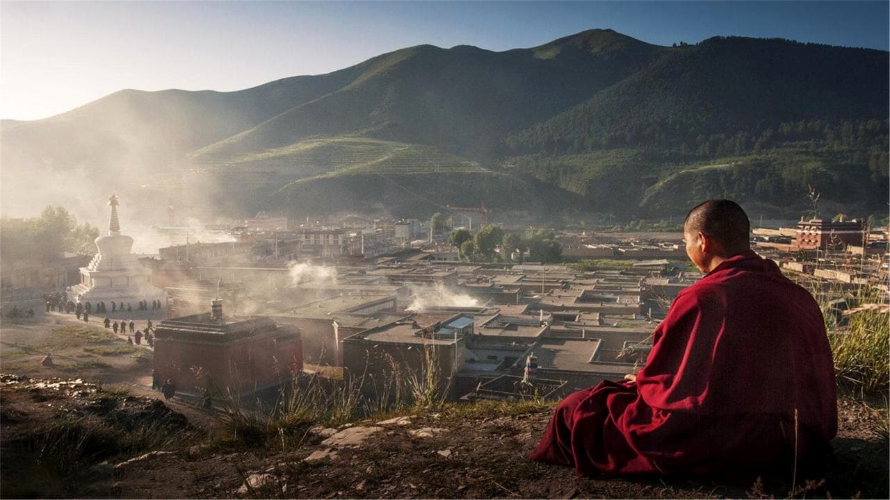 甘南报团旅行社选择与测评
