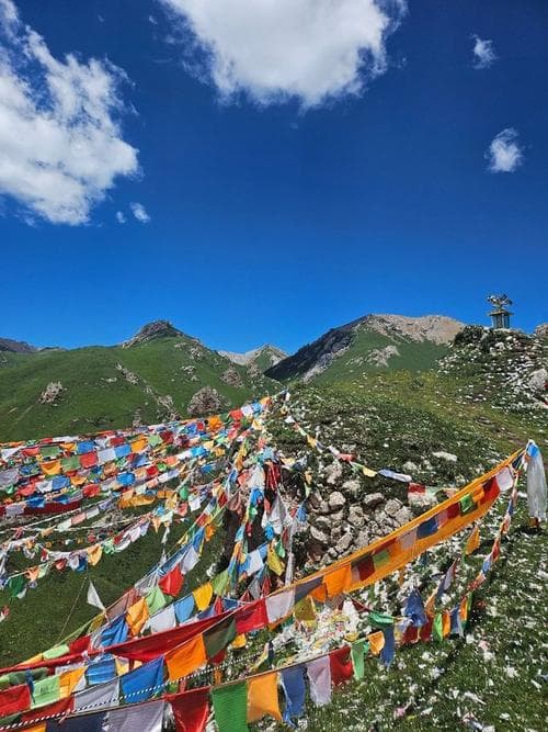 甘南当地旅行社与网上报团方式对比